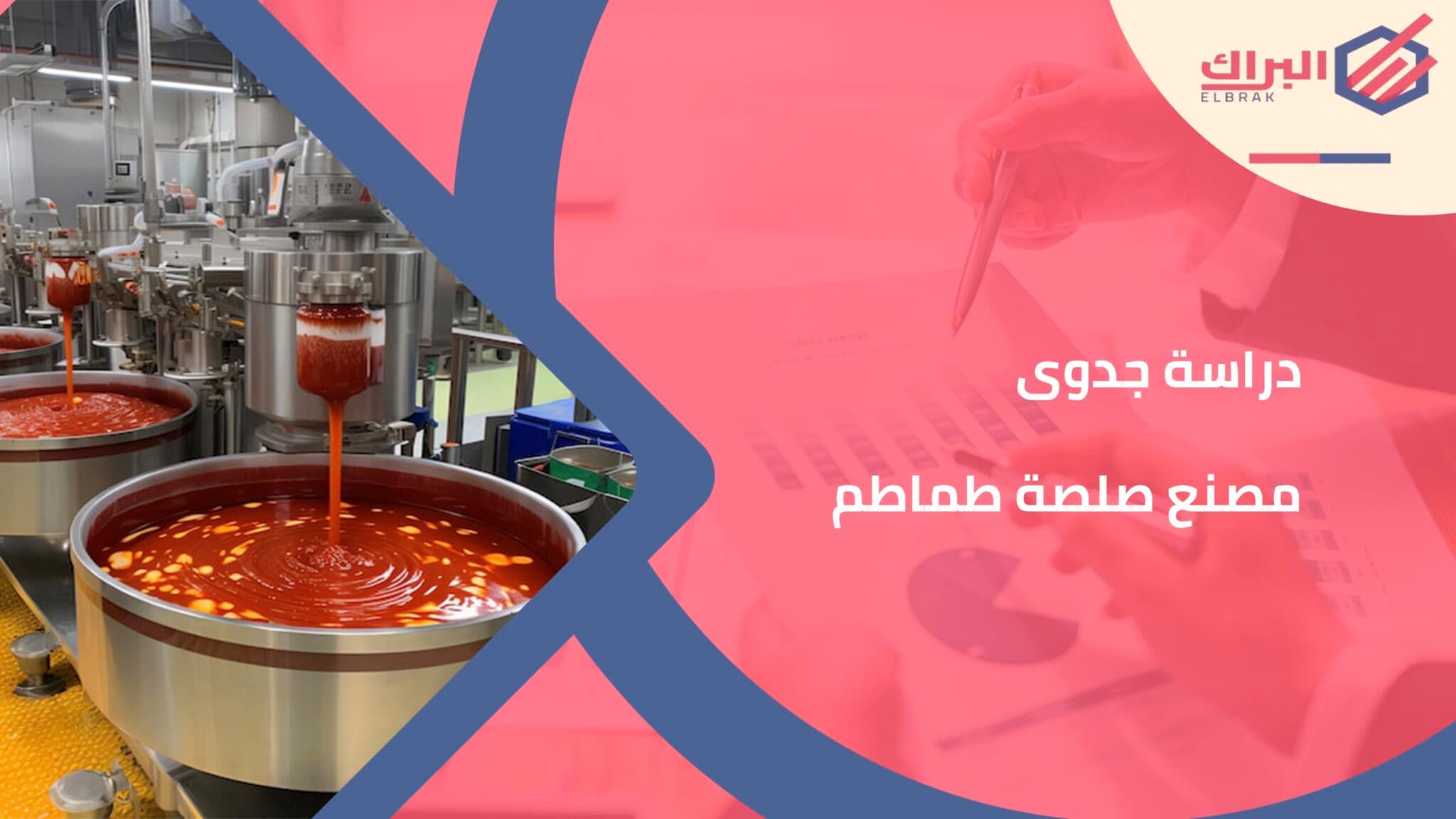 دراسة جدوى مصنع صلصة طماطم