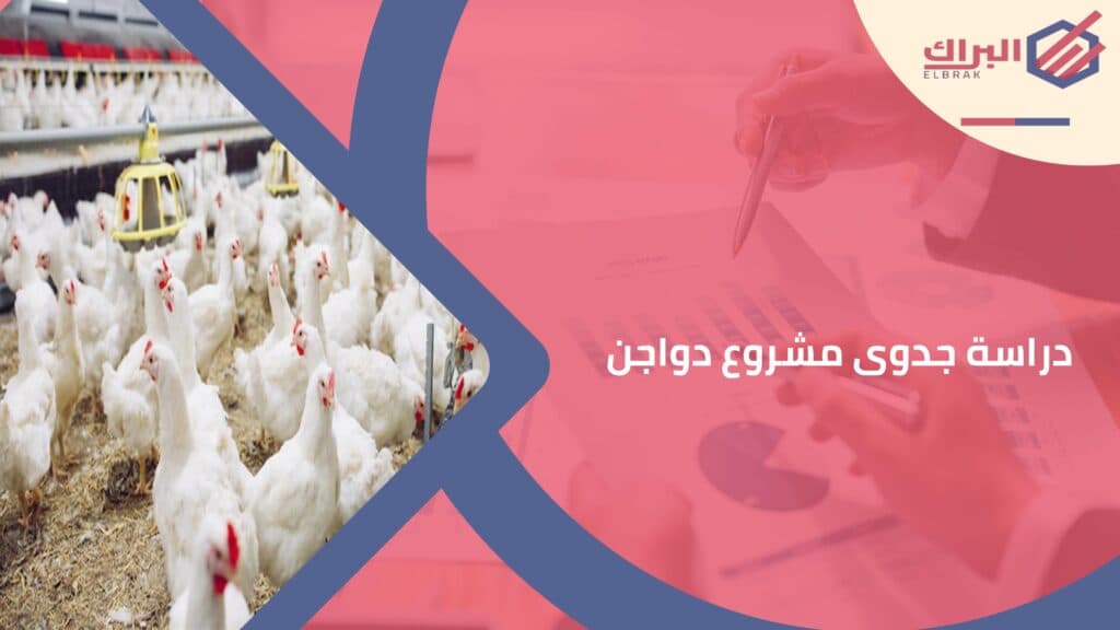 دراسة جدوى مشروع دواجن