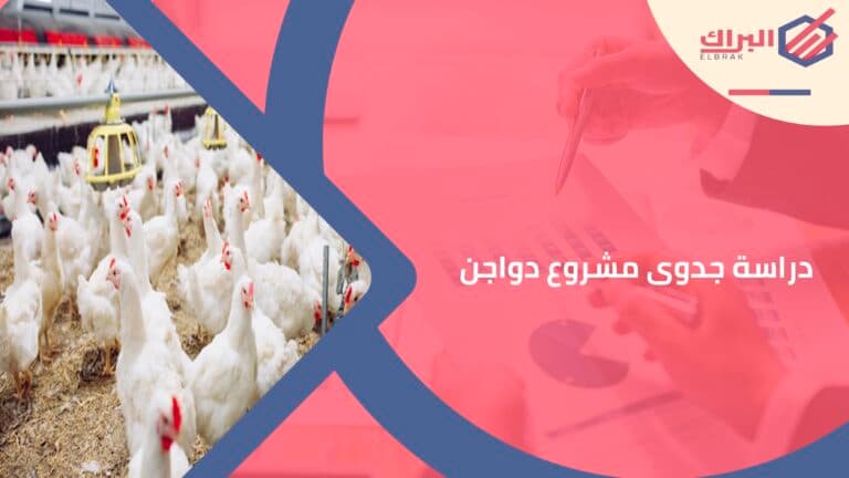 دراسة جدوى مشروع دواجن