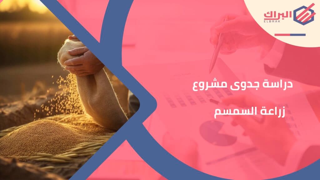 دراسة جدوى مشروع زراعة السمسم