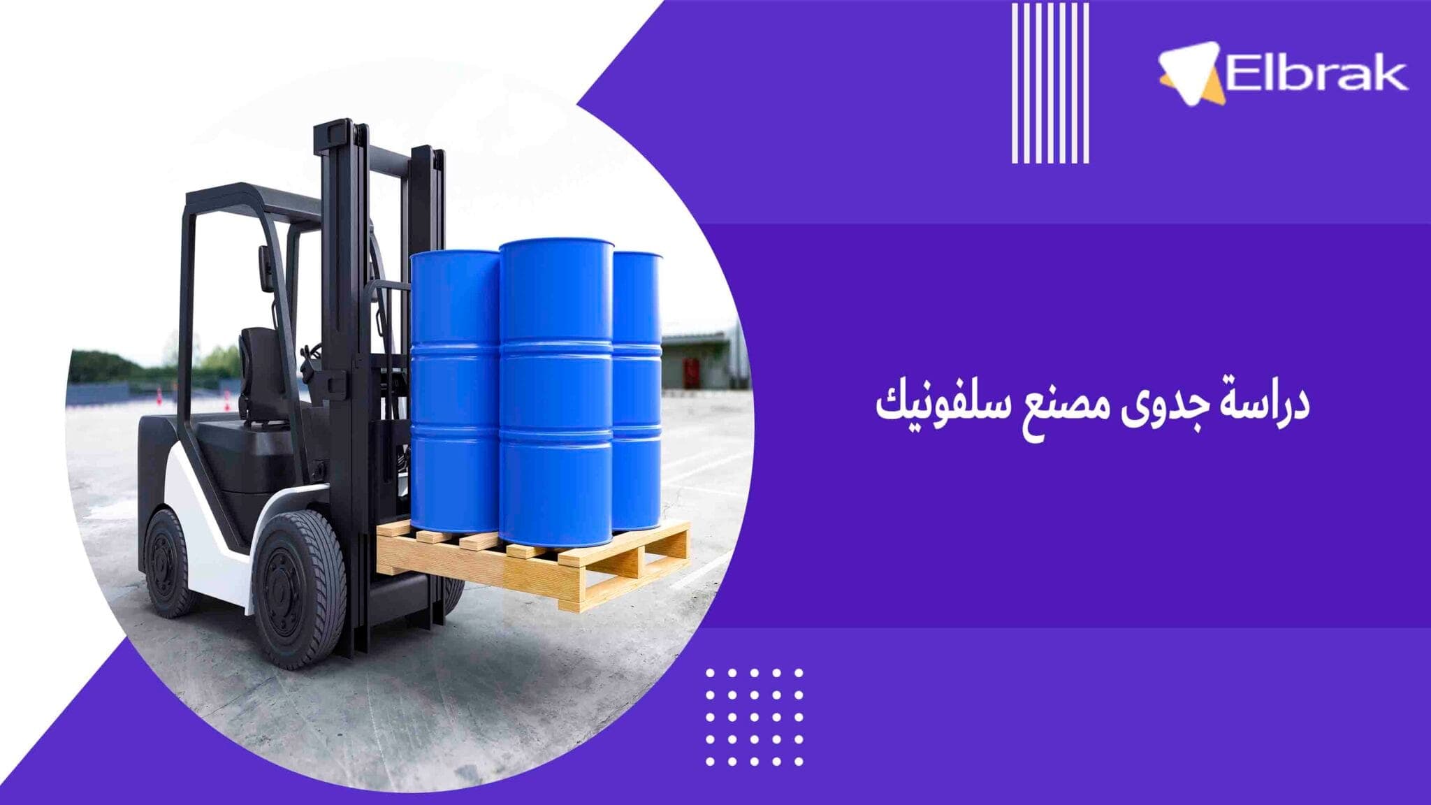 دراسة جدوى مصنع سلفونيك