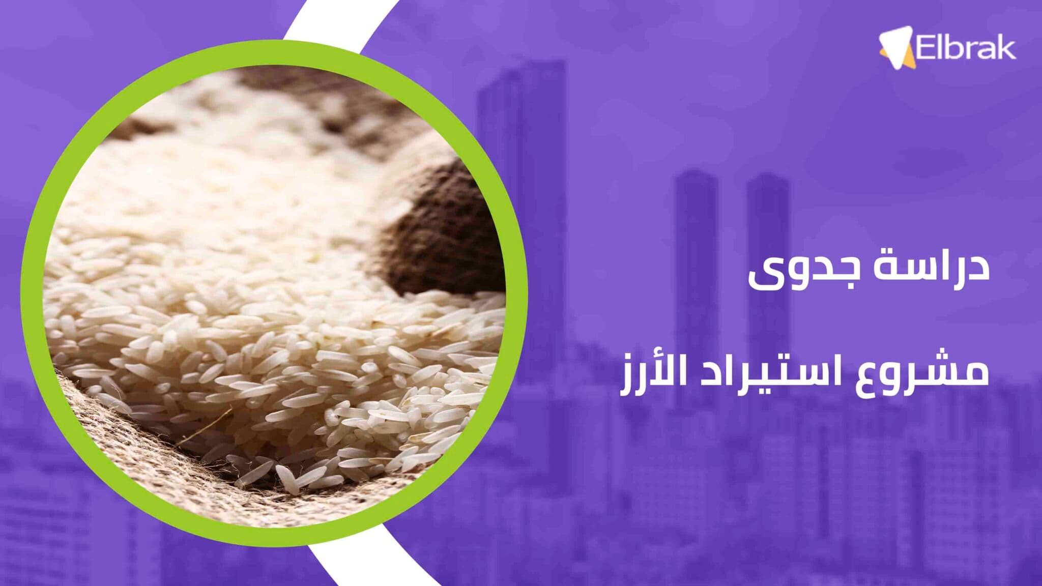 دراسة جدوى مشروع استيراد الأرز