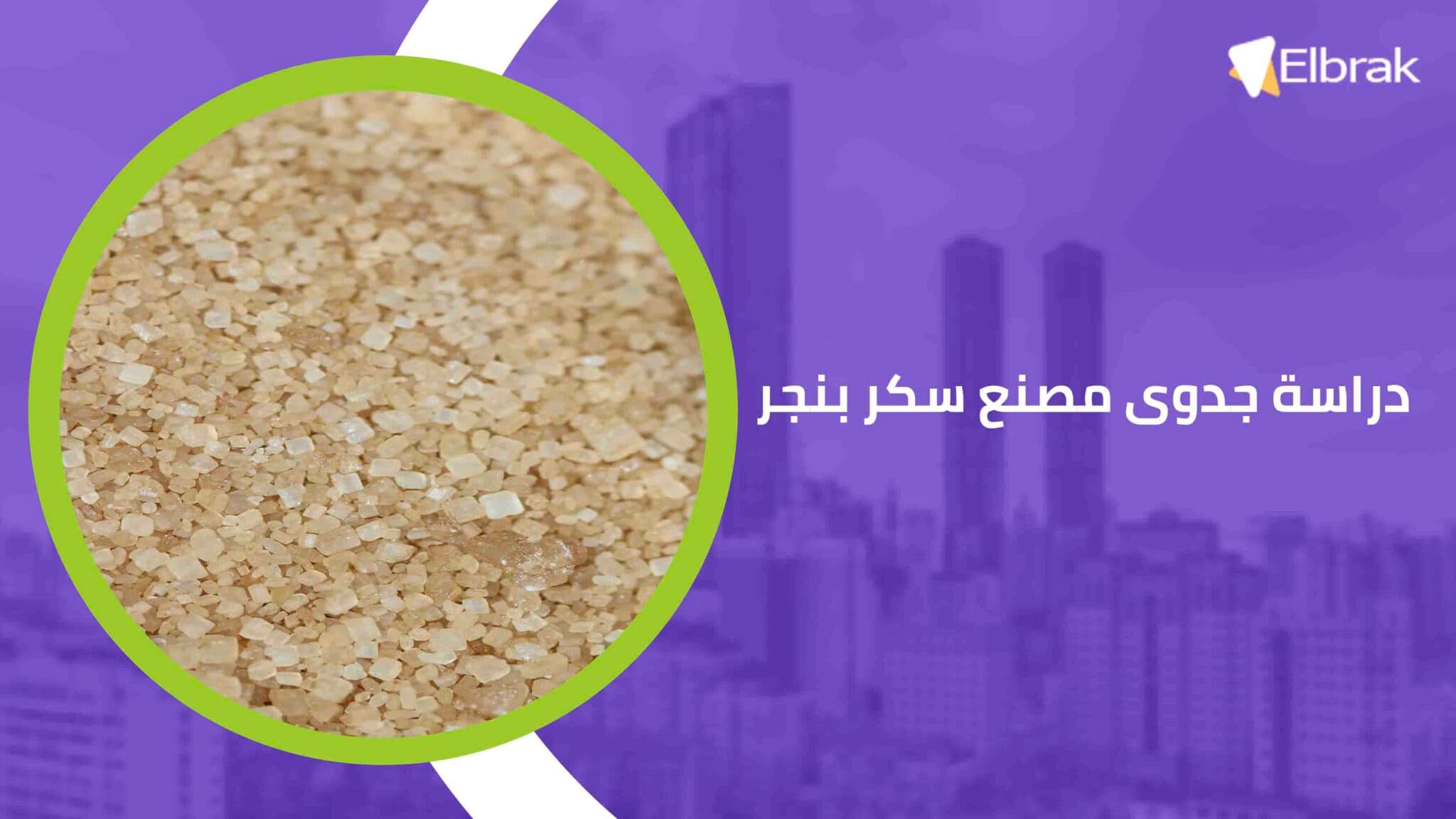 دراسة جدوى مصنع سكر بنجر