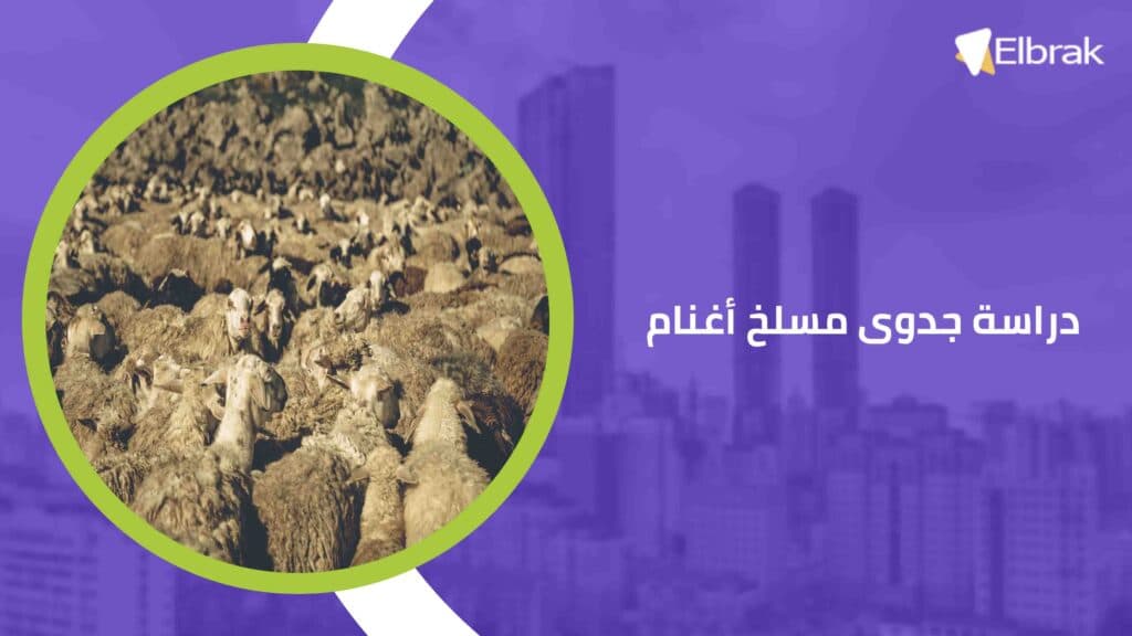 دراسة جدوى مسلخ أغنام