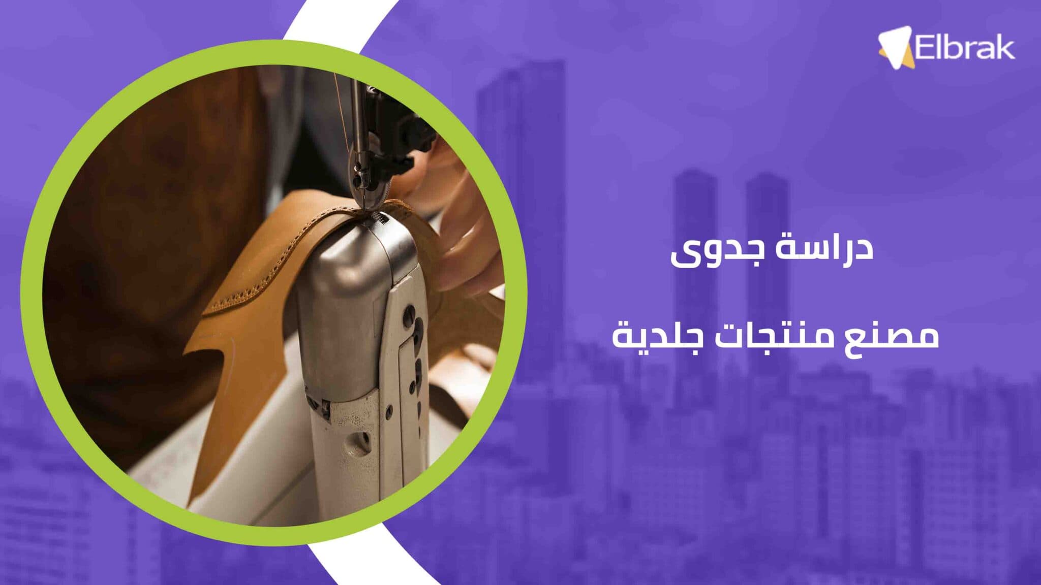 دراسة جدوى مصنع منتجات جلدية