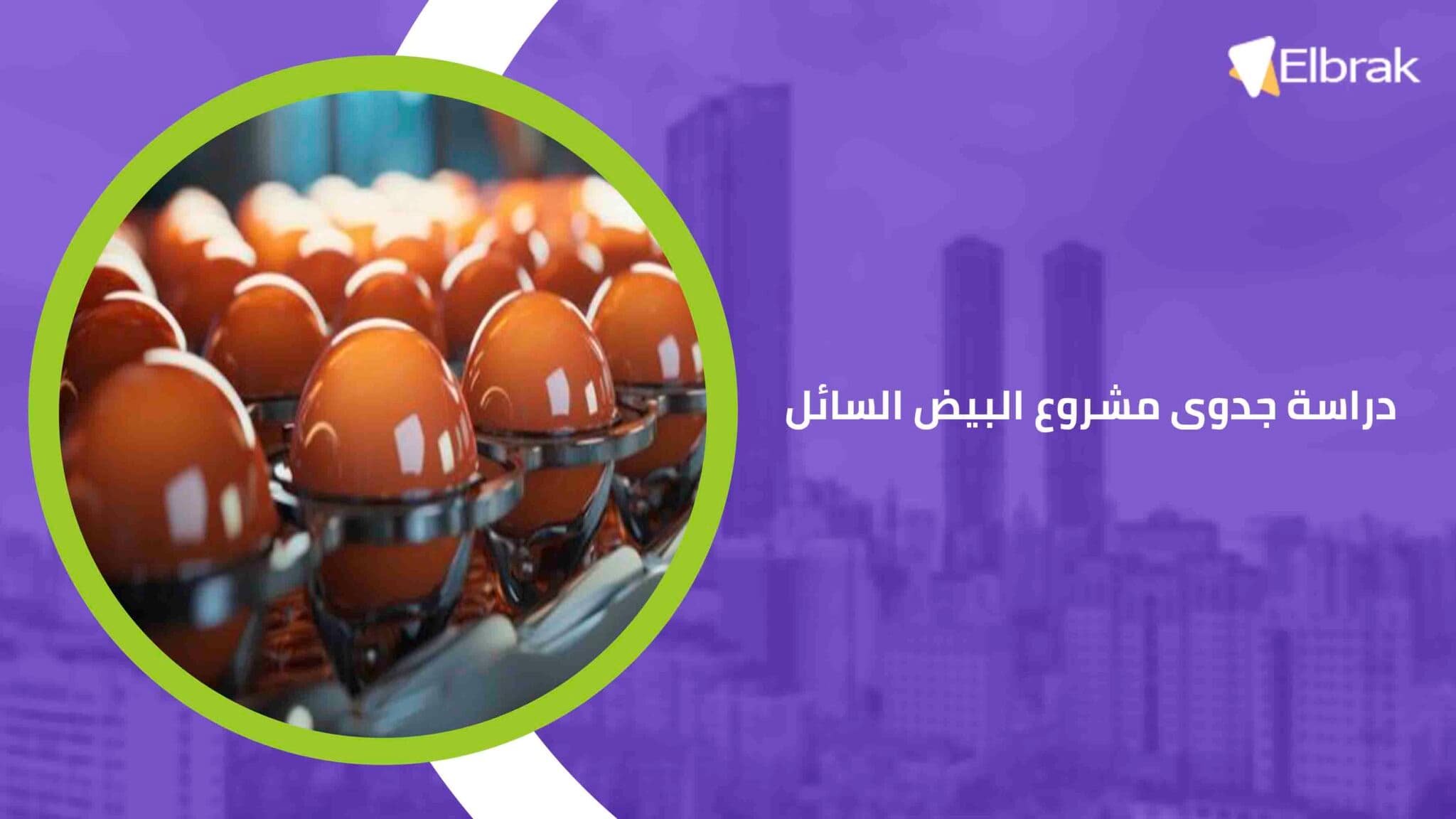 دراسة جدوى مشروع البيض السائل