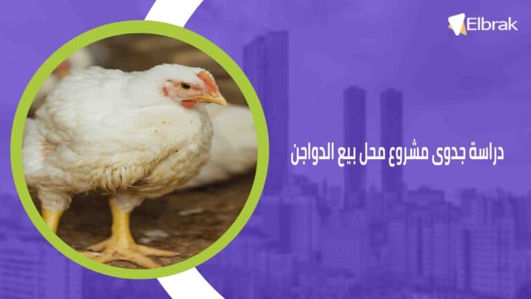 دراسة جدوى مشروع محل بيع الدواجن