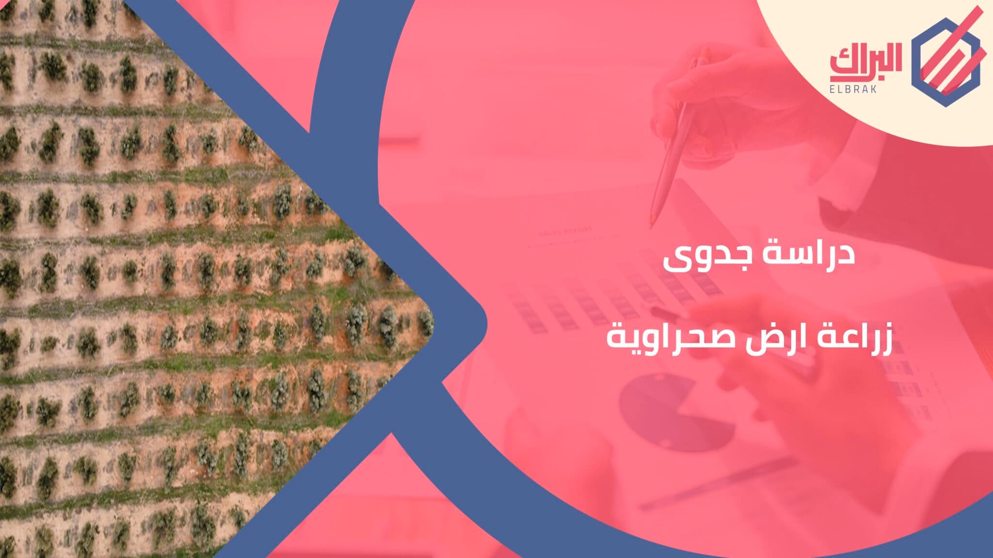 دراسة جدوى زراعة ارض صحراوية