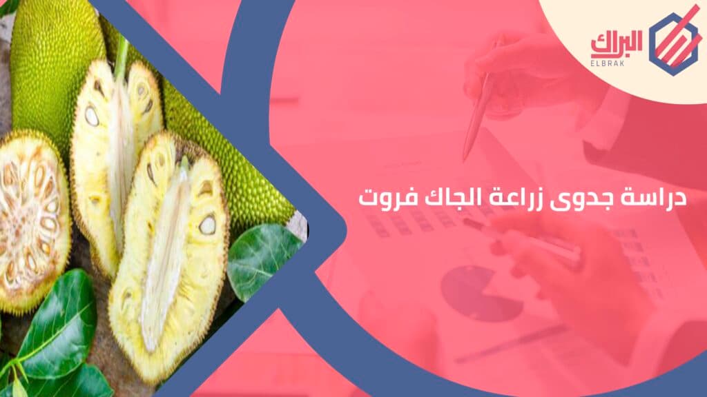 دراسة جدوى زراعة الجاك فروت
