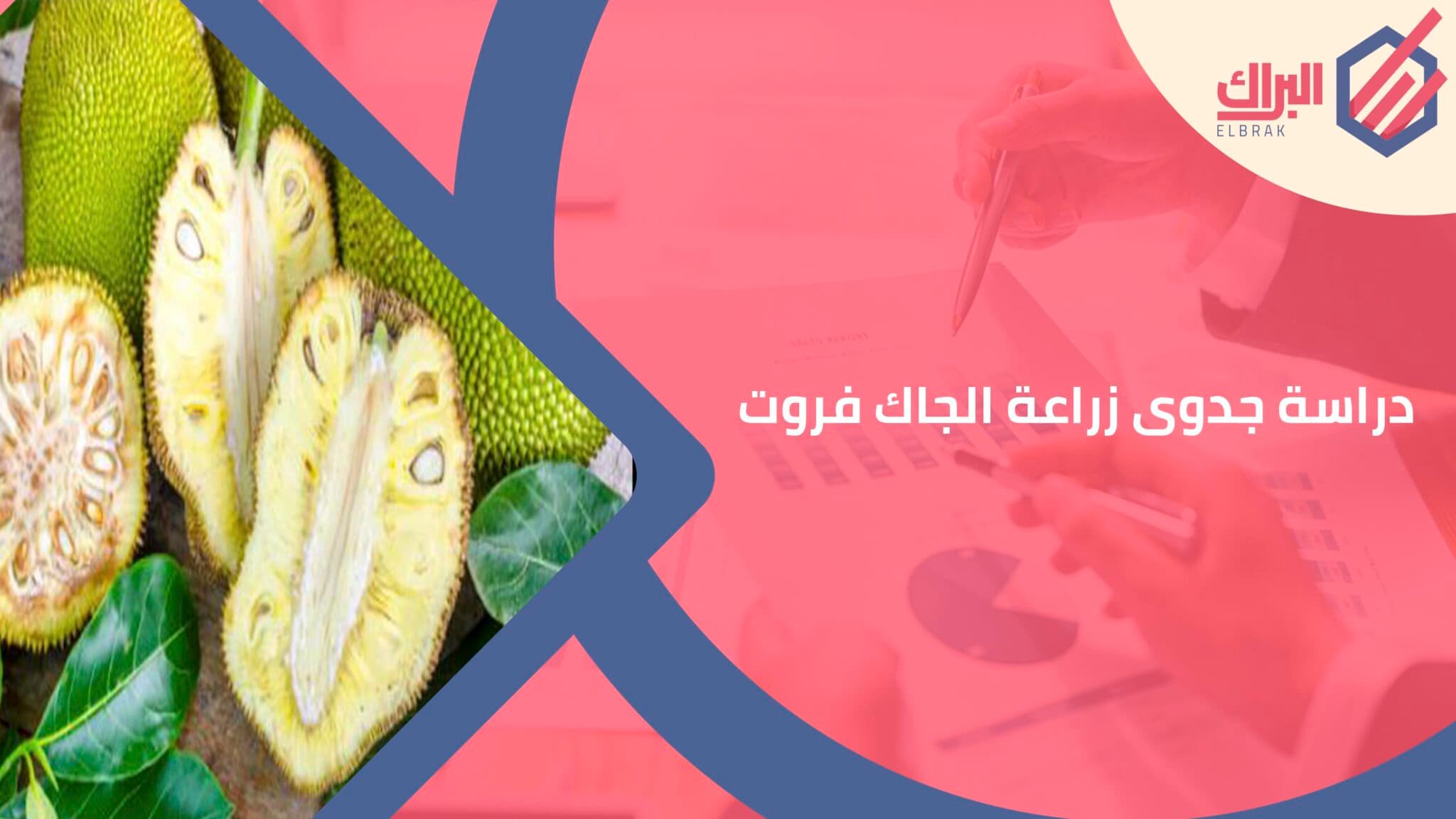 دراسة جدوى زراعة الجاك فروت