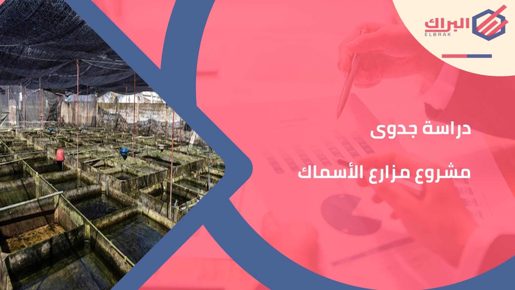دراسة جدوى مشروع مزارع الأسماك