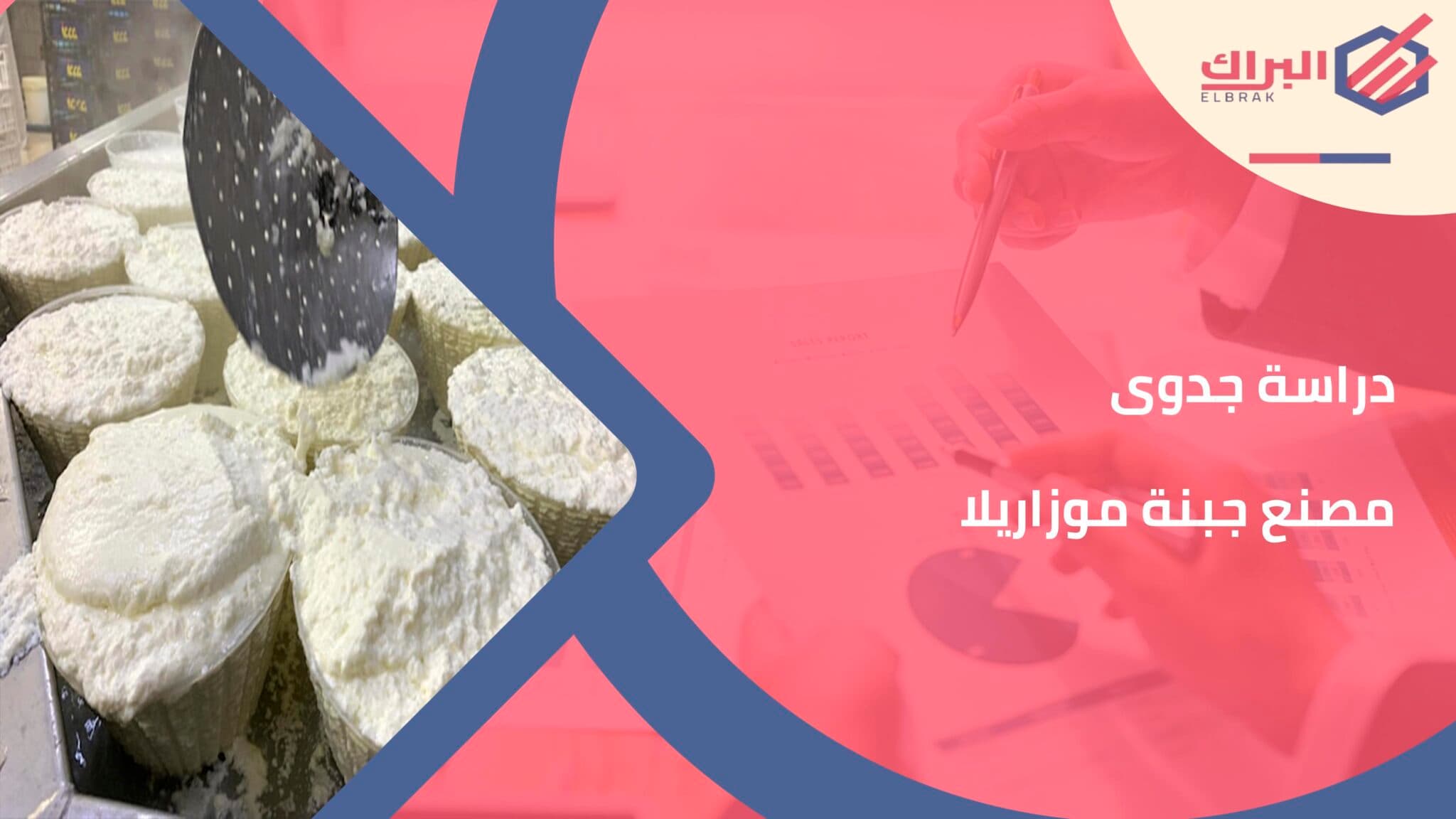 دراسة جدوى مصنع جبنة موزاريلا