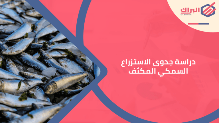 دراسة جدوى الاستزراع السمكي المكثف