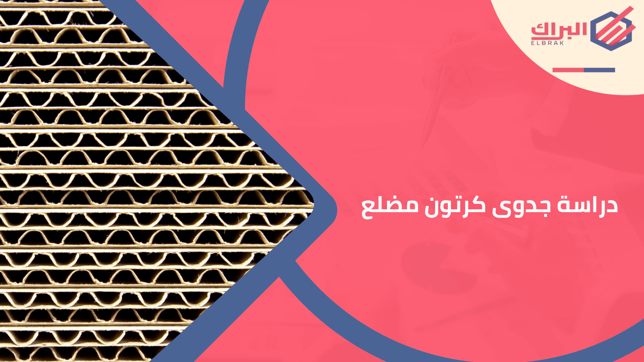 دراسة جدوى كرتون مضلع