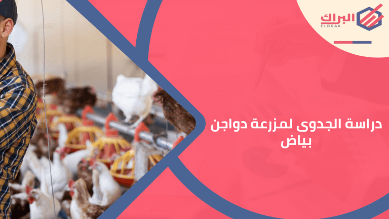 دراسة الجدوى لمزرعة دواجن بياض
