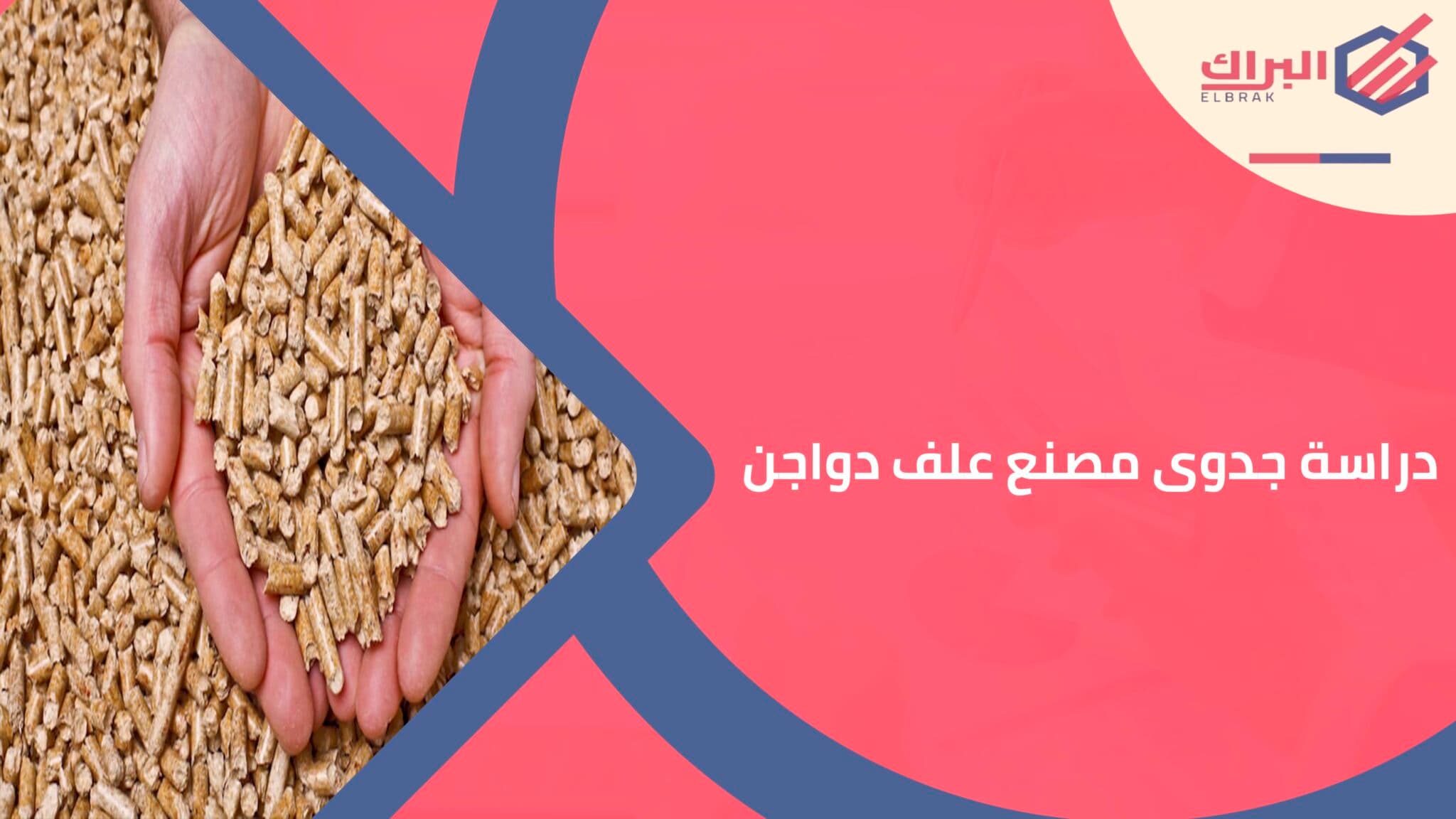 دراسة جدوى مصنع علف دواجن