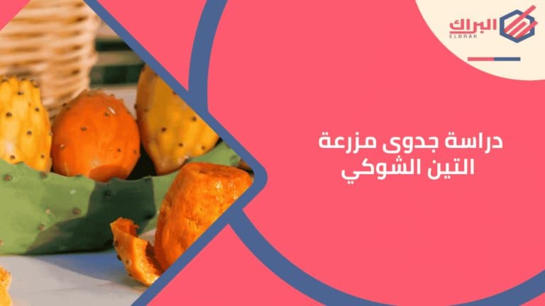 دراسة جدوى مزرعة التين الشوكي