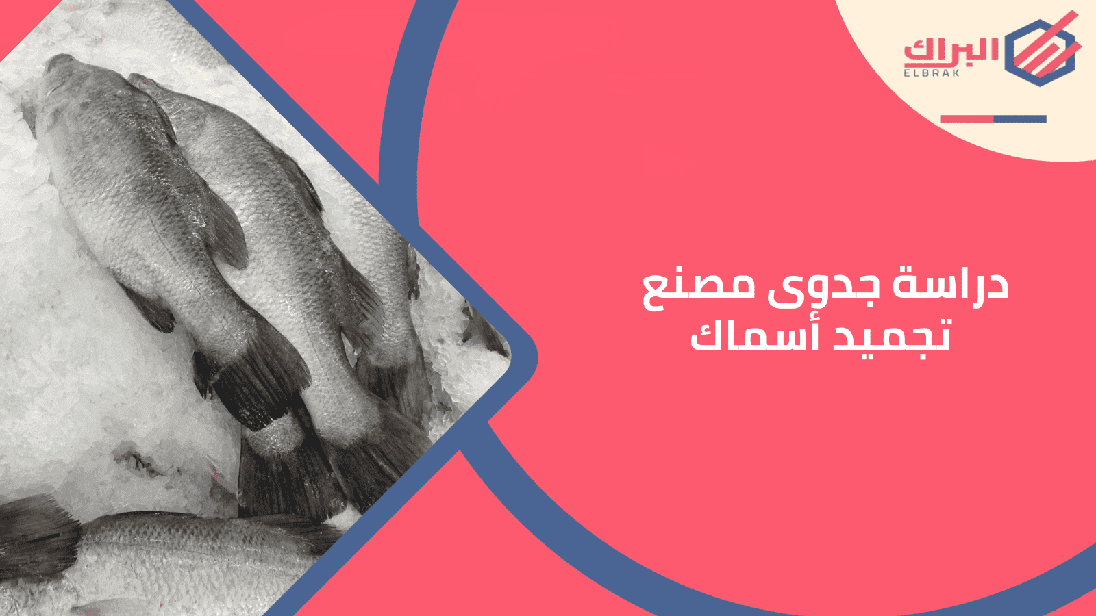 دراسة جدوى مصنع تجميد أسماك