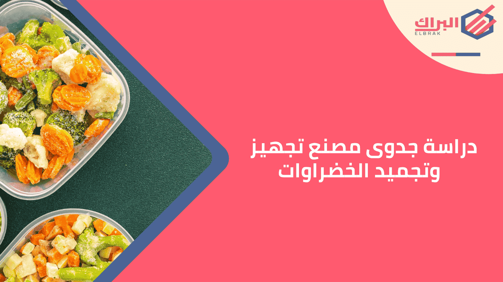 دراسة جدوى مصنع تجهيز وتجميد الخضراوات
