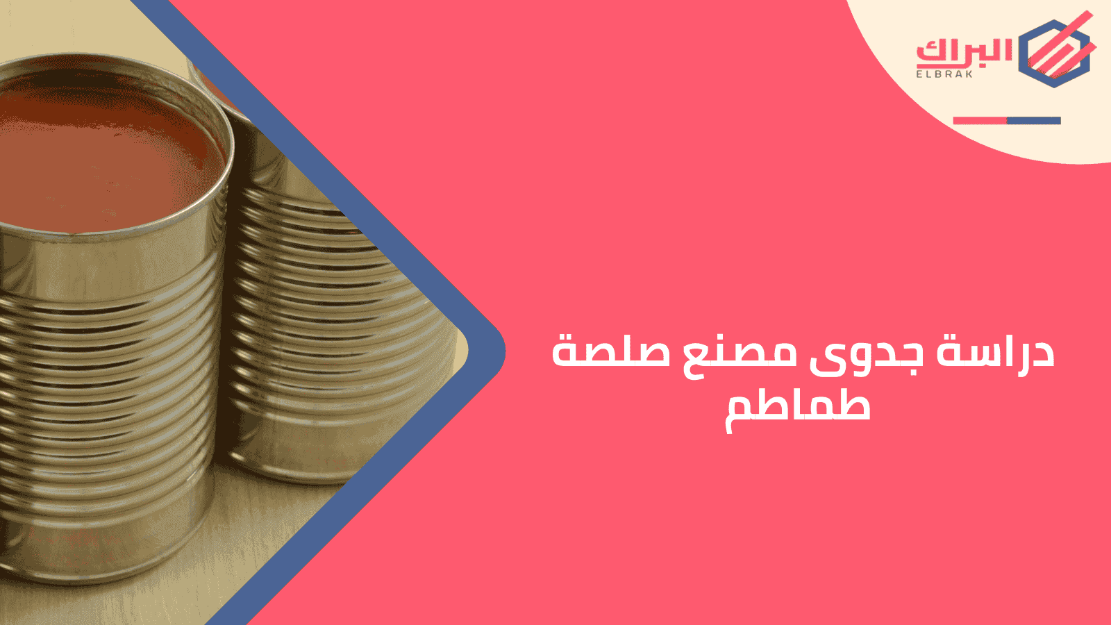 دراسة جدوى مصنع صلصة طماطم