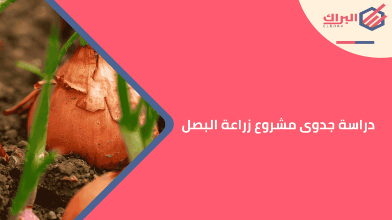 دراسة جدوى مشروع زراعة البصل