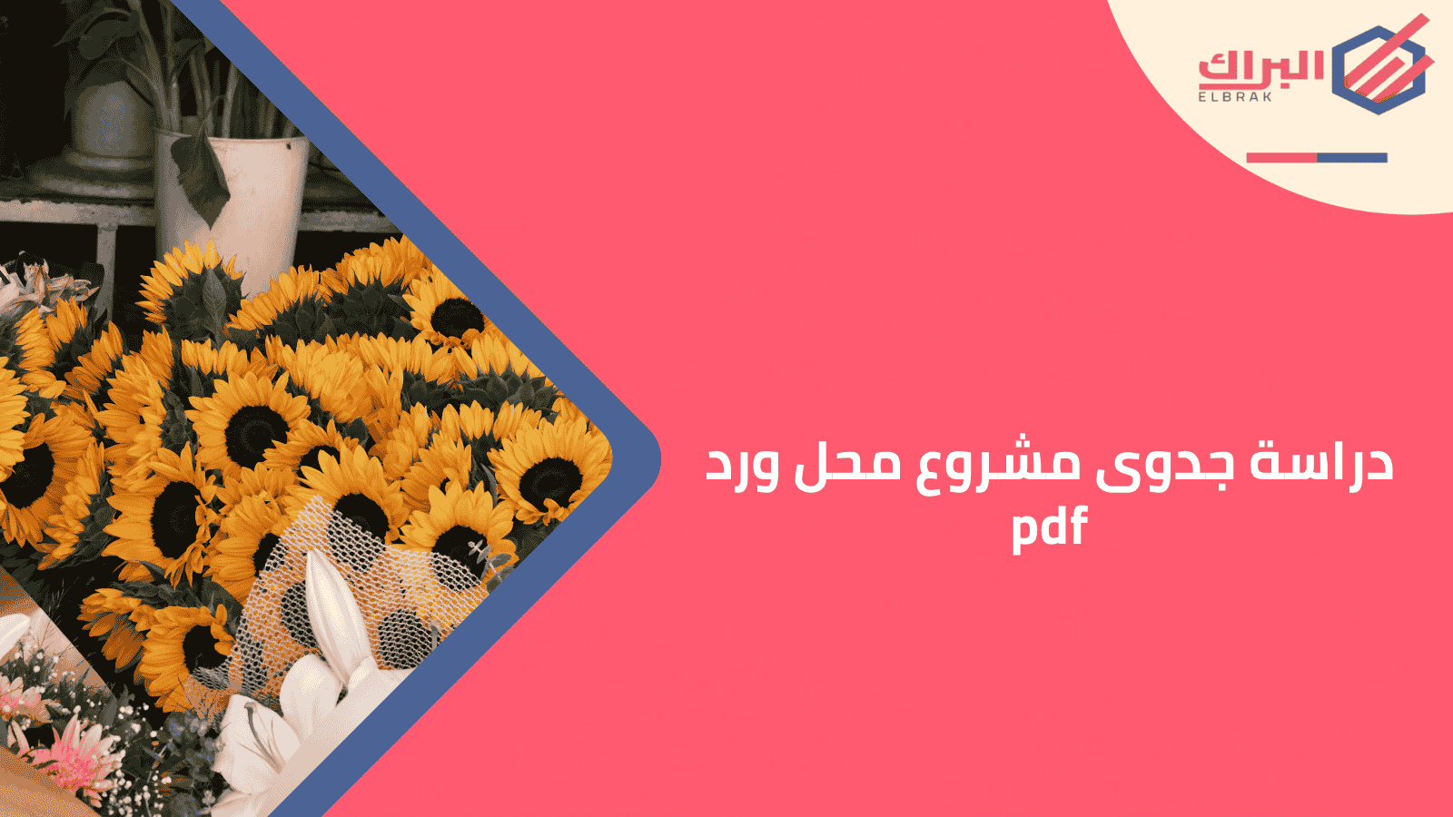 دراسة جدوى مشروع محل ورد pdf