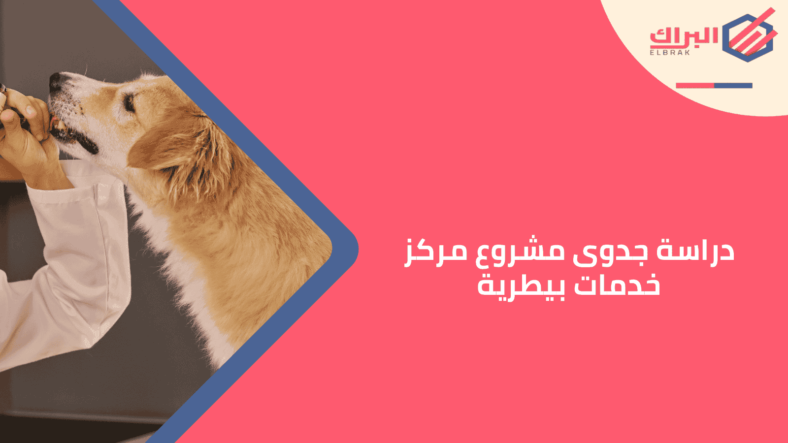 دراسة جدوى مشروع مركز خدمات بيطرية