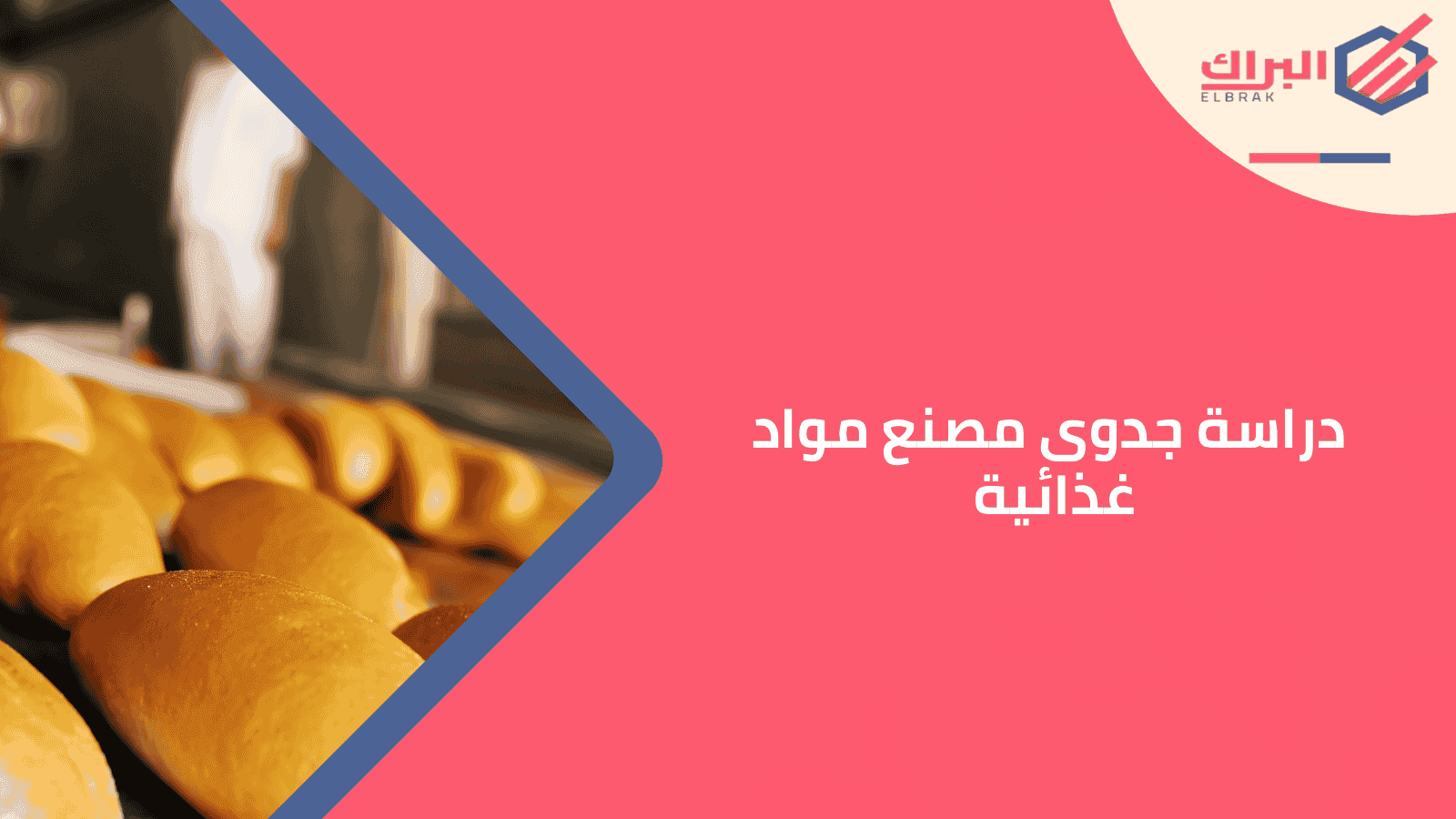 دراسة جدوى مصنع مواد غذائية
