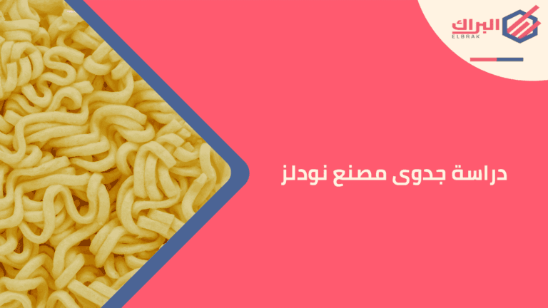دراسة جدوى مصنع نودلز