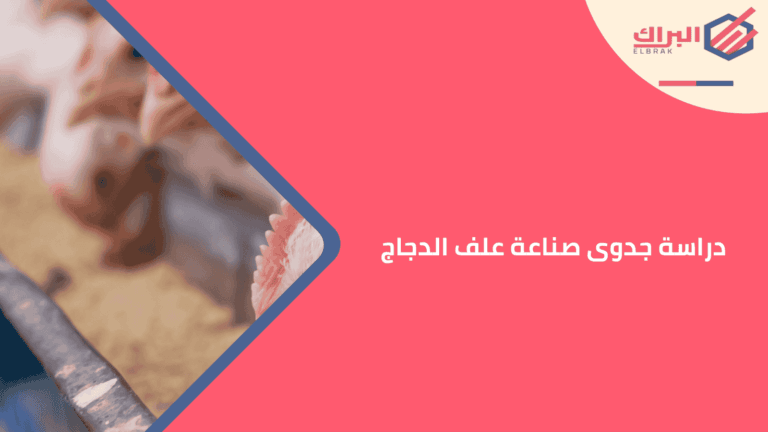 دراسة جدوى صناعة علف الدجاج