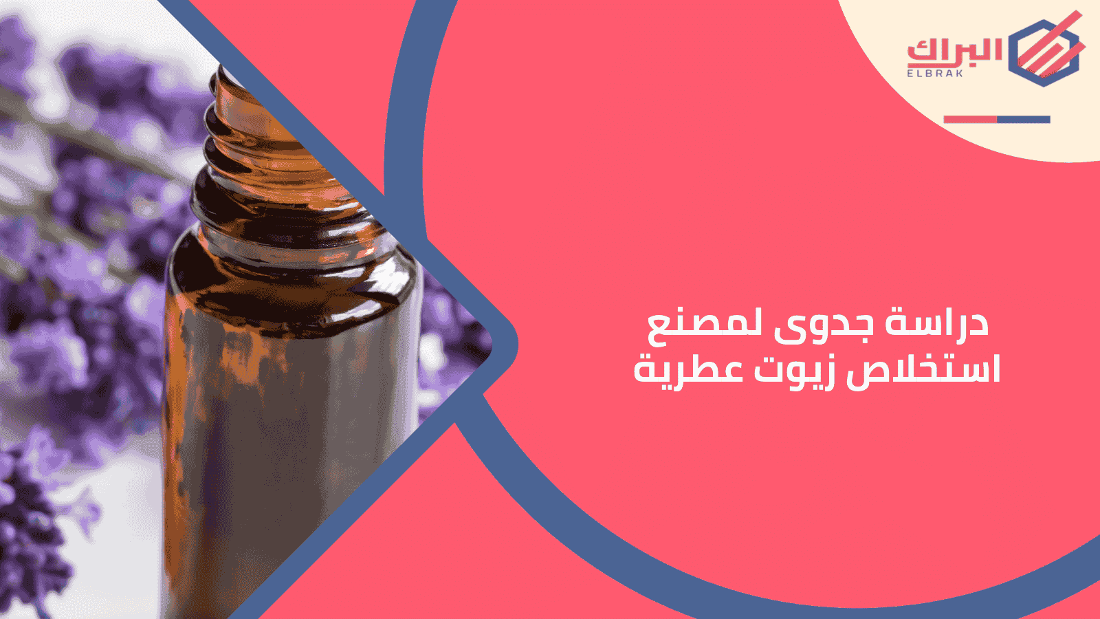 دراسة جدوى لمصنع استخلاص زيوت عطرية