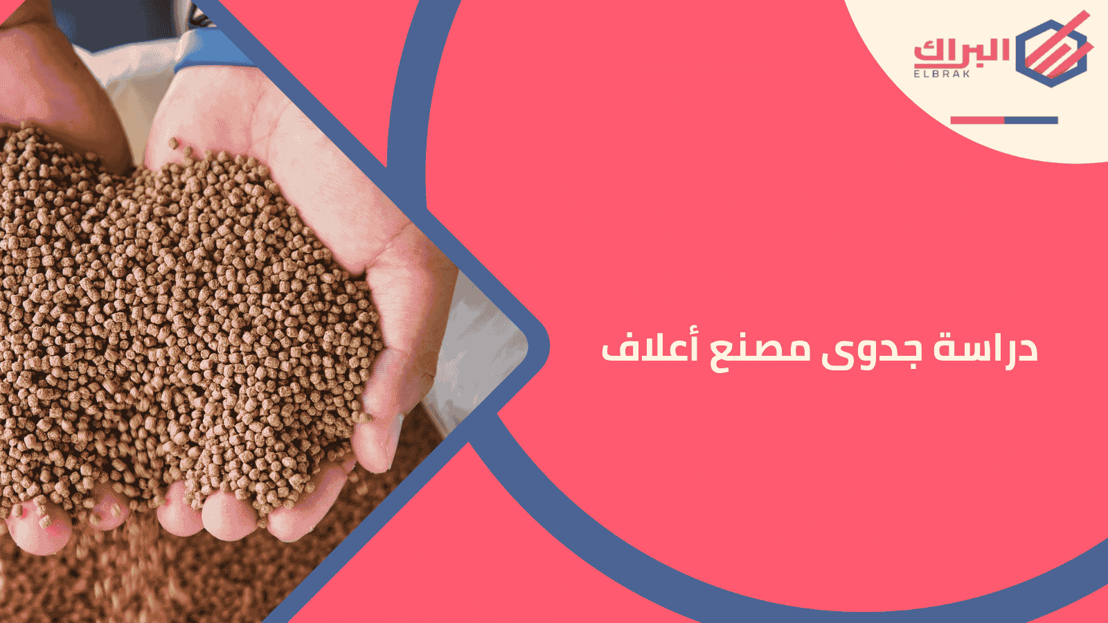 دراسة جدوى مصنع أعلاف