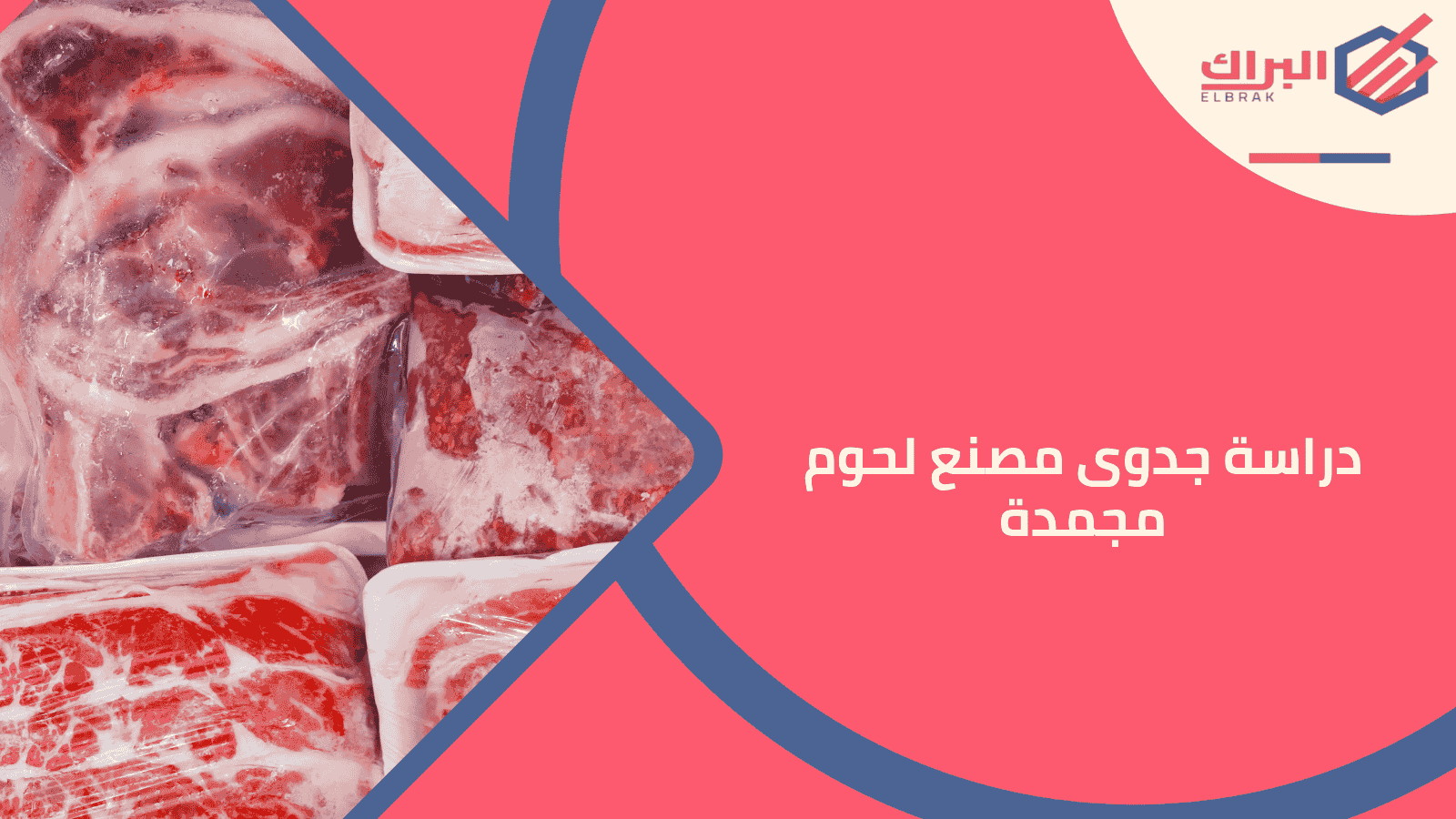 دراسة جدوى مصنع لحوم مجمدة