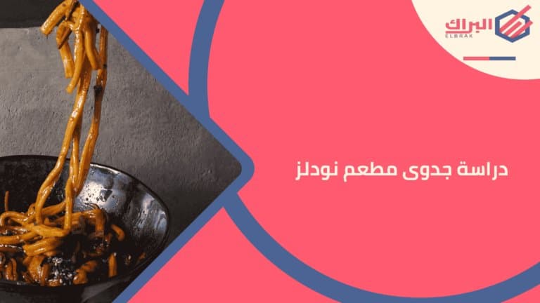 دراسة جدوى مطعم نودلز