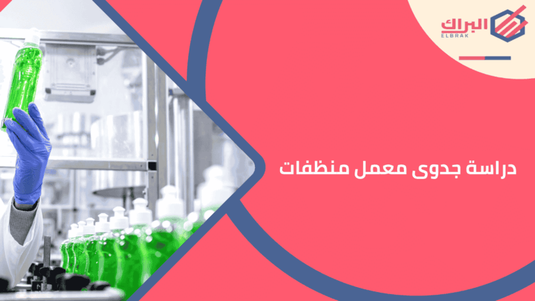 دراسة جدوى معمل منظفات