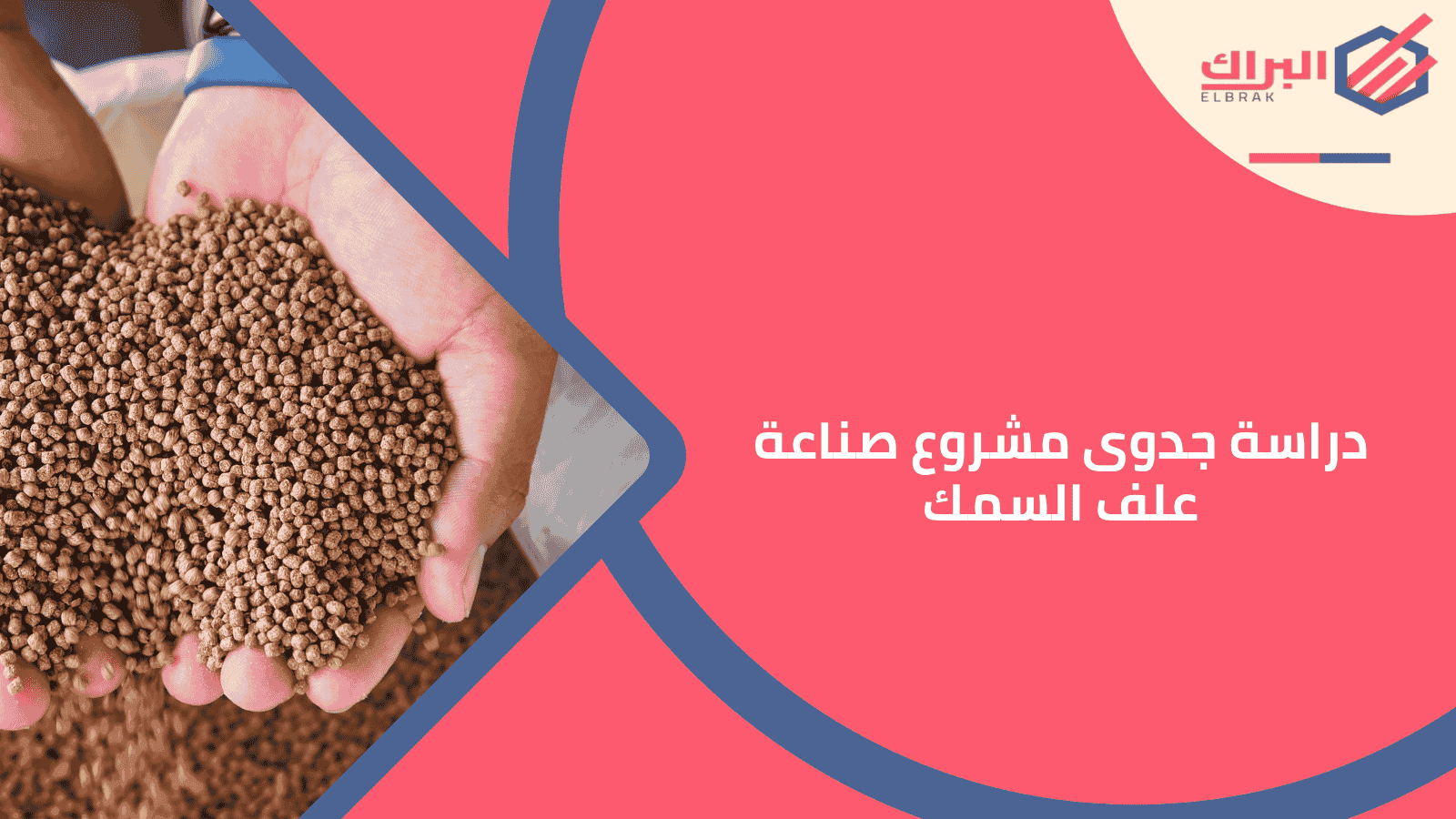 دراسة جدوى مشروع صناعة علف السمك