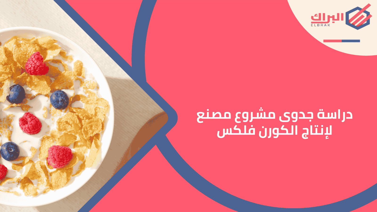 دراسة جدوى مشروع مصنع لإنتاج الكورن فلكس