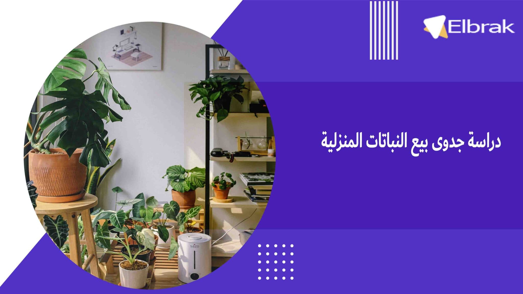 دراسة جدوى بيع النباتات المنزلية