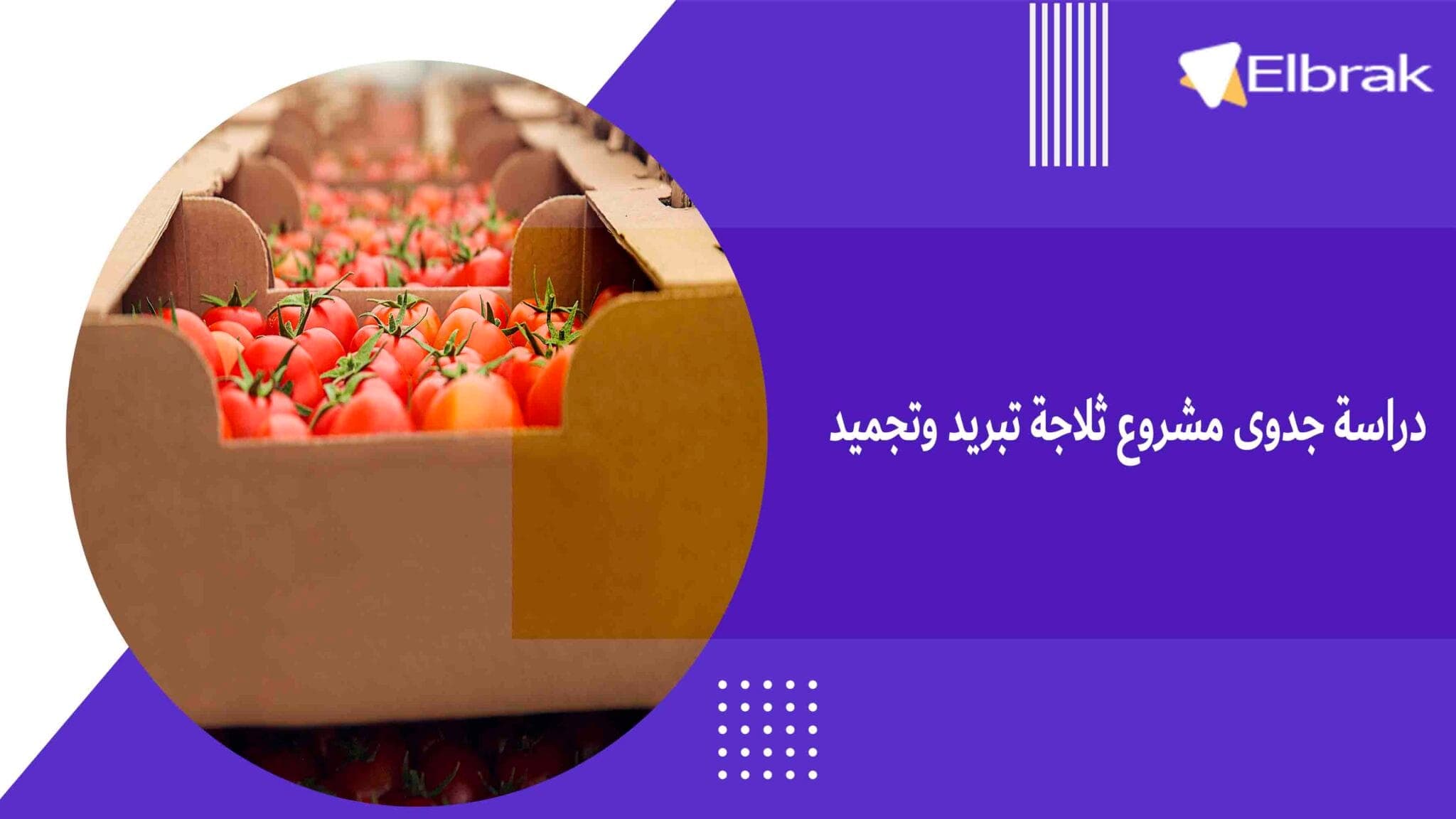 دراسة جدوى مشروع ثلاجة تبريد وتجميد