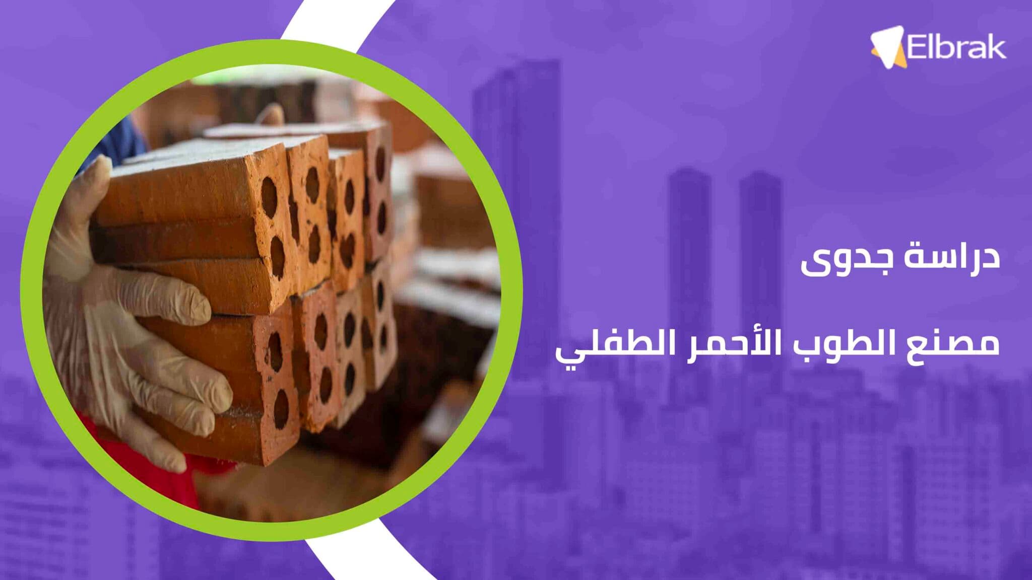 دراسة جدوى مصنع الطوب الأحمر الطفلي