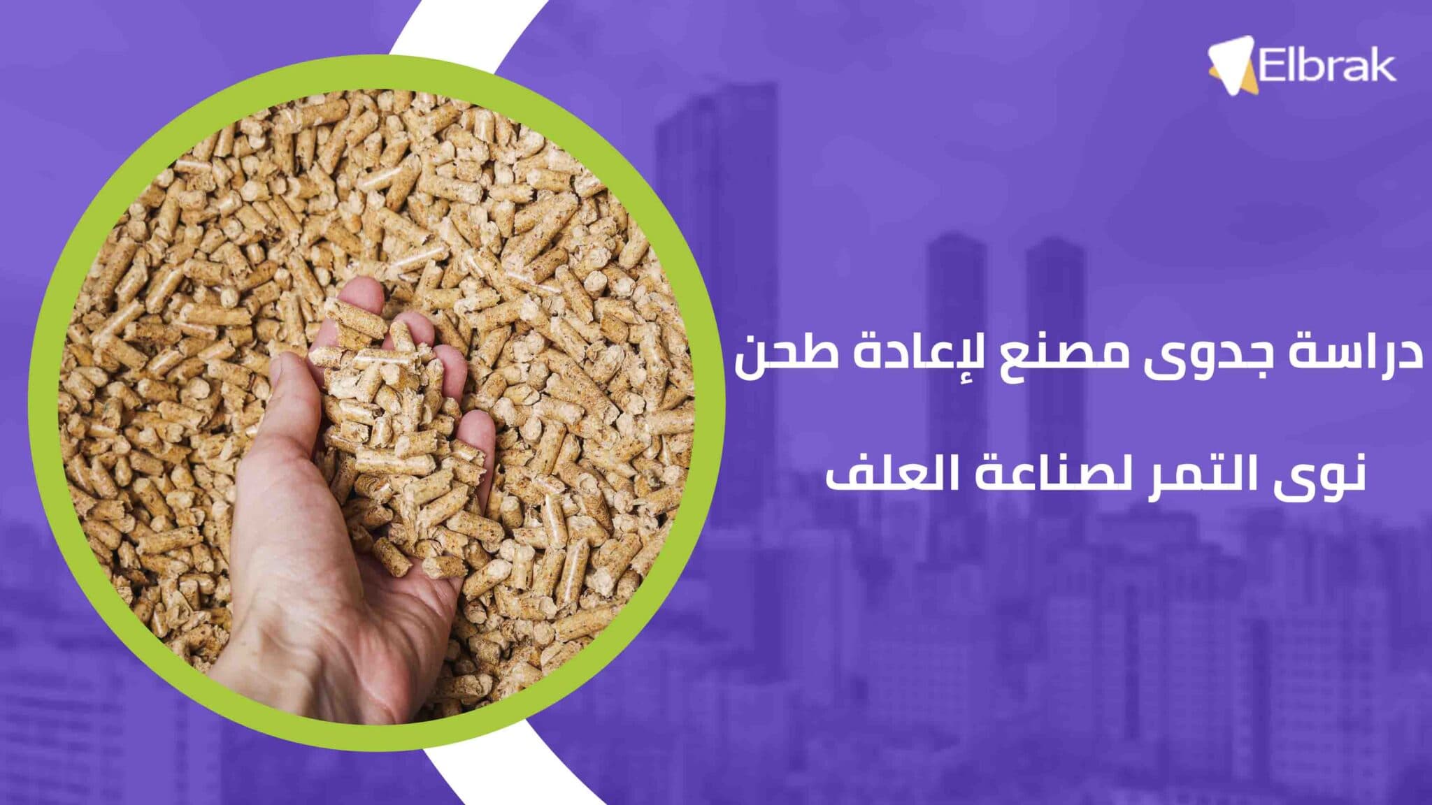 دراسة جدوى مصنع لإعادة طحن نوى التمر لصناعة العلف