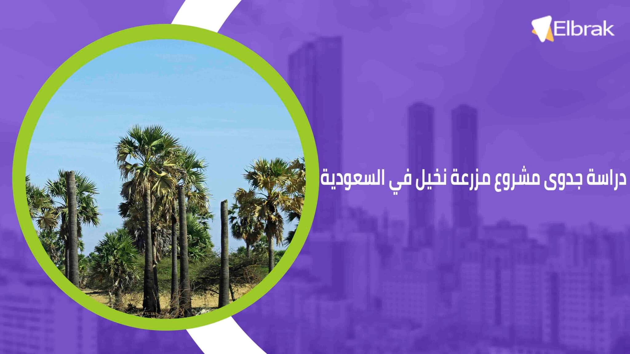 دراسة جدوى مشروع مزرعة نخيل في السعودية