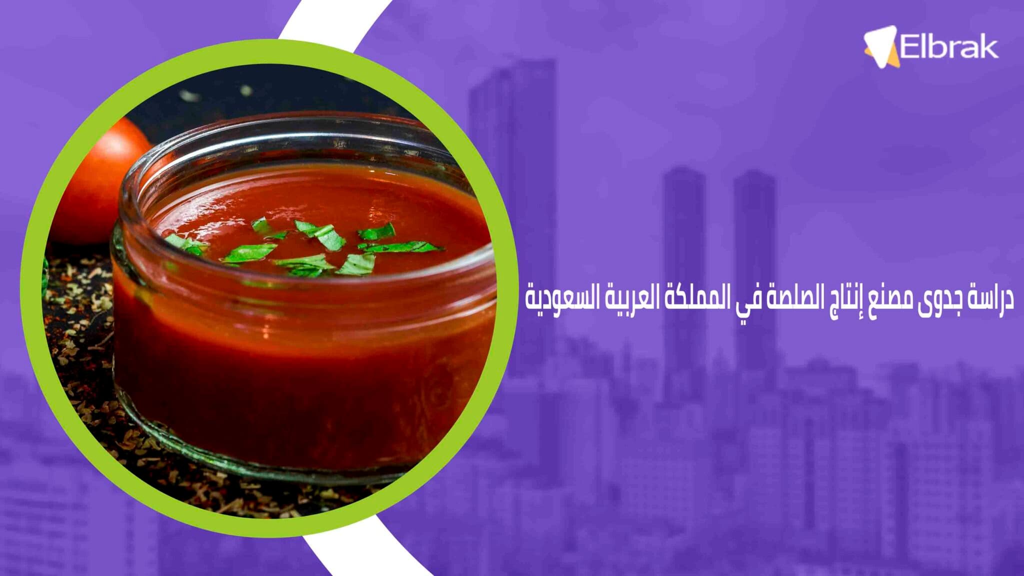 دراسة جدوى مصنع إنتاج الصلصة في المملكة العربية السعودية