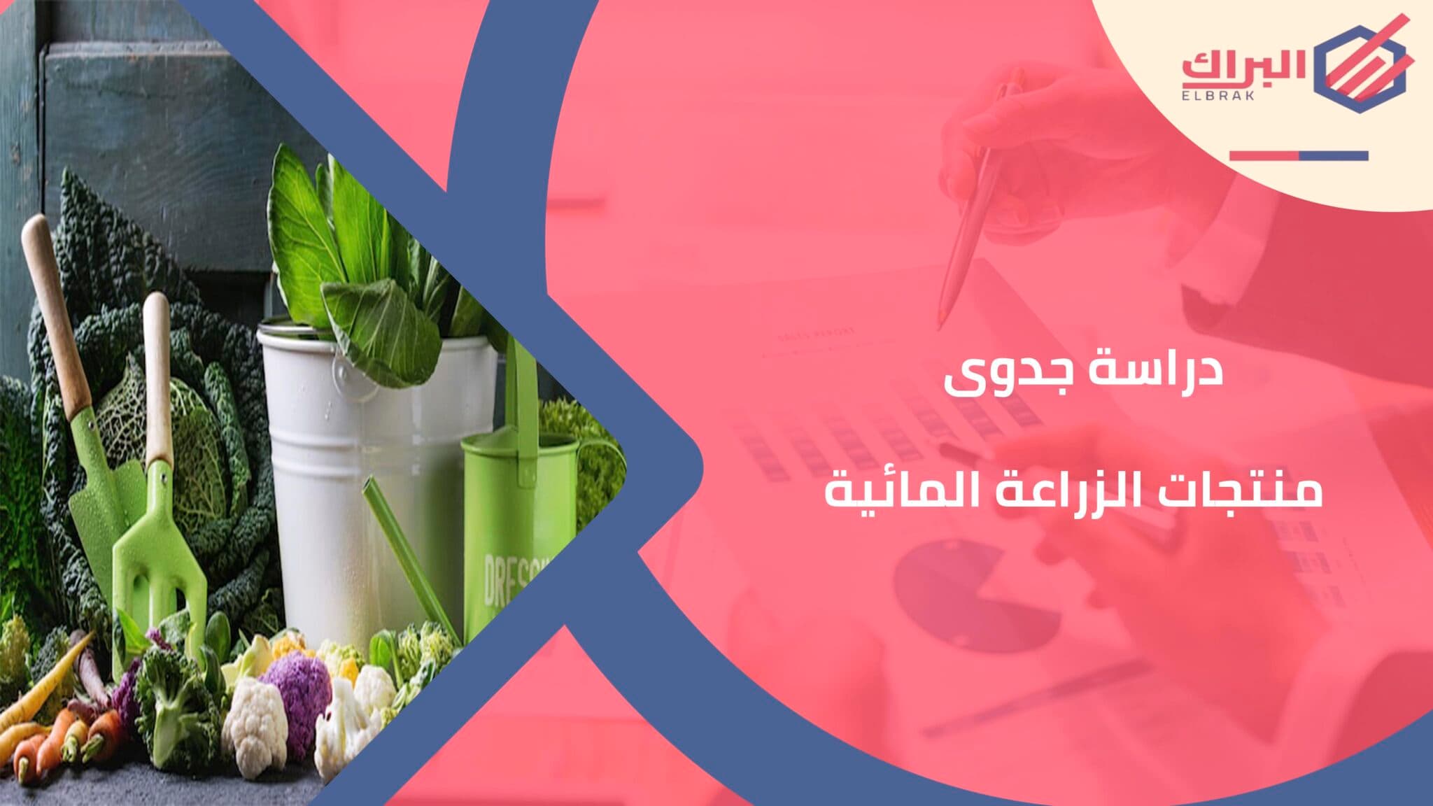 دراسة جدوى منتجات الزراعة المائية