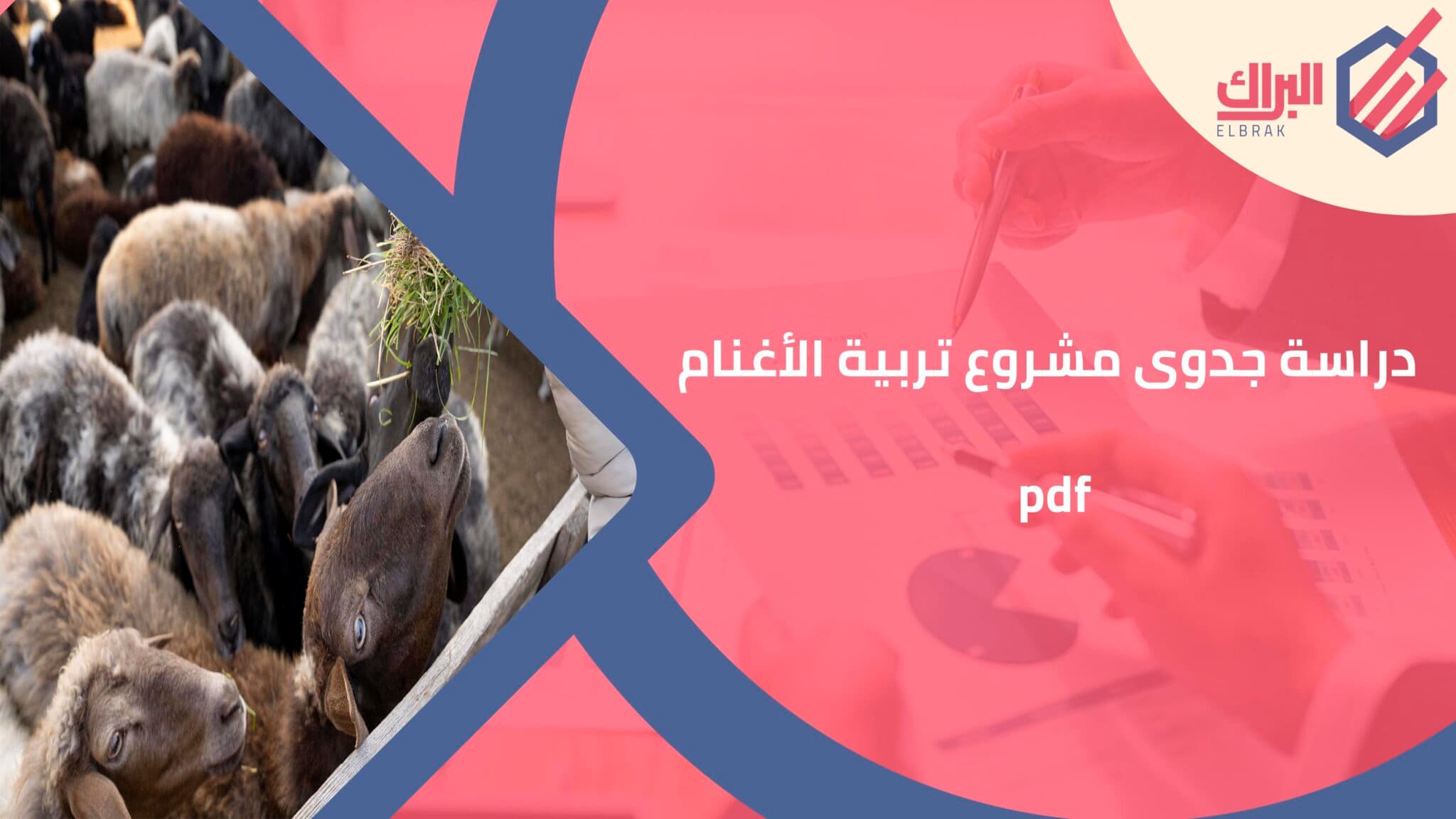 دراسة جدوى مشروع تربية الأغنام pdf