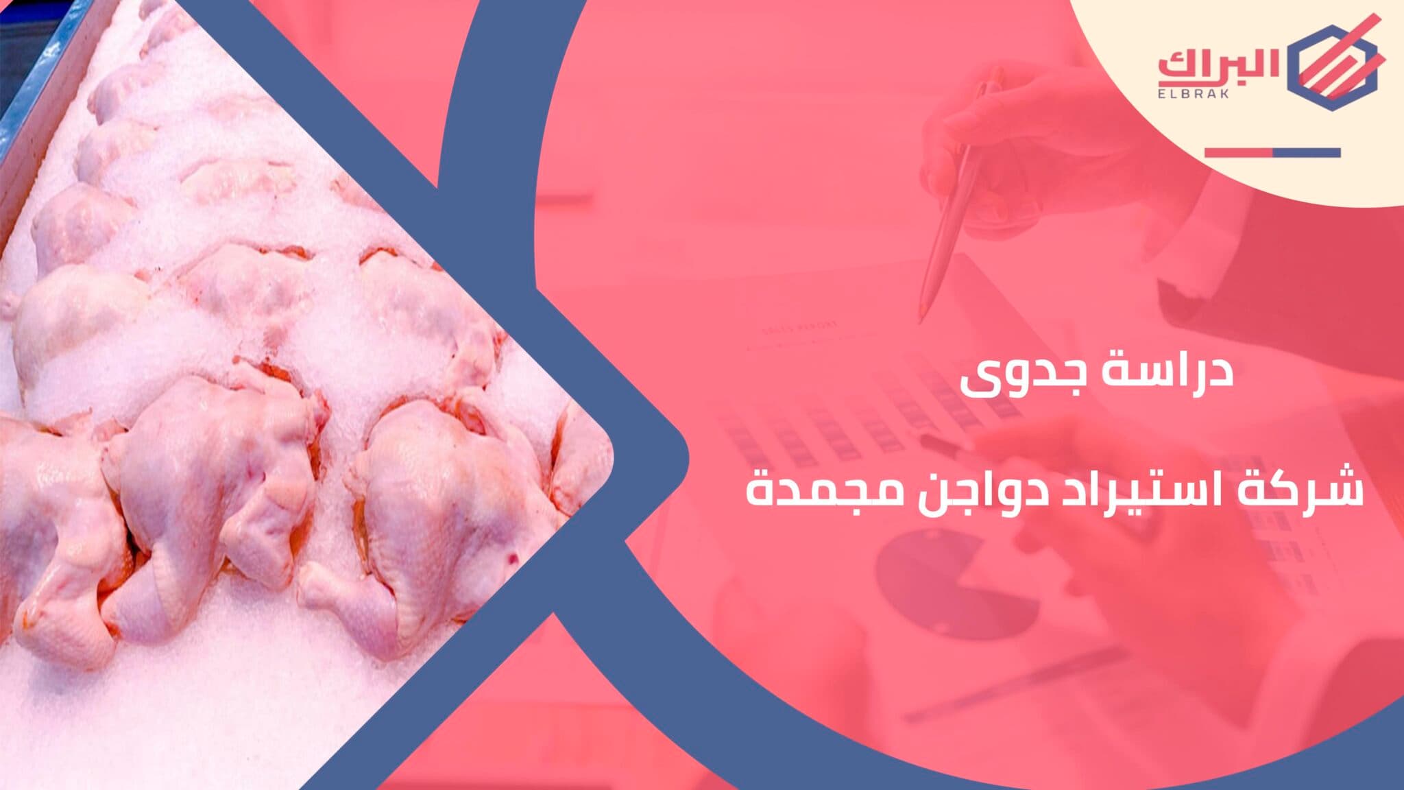 دراسة جدوى شركة استيراد دواجن مجمدة