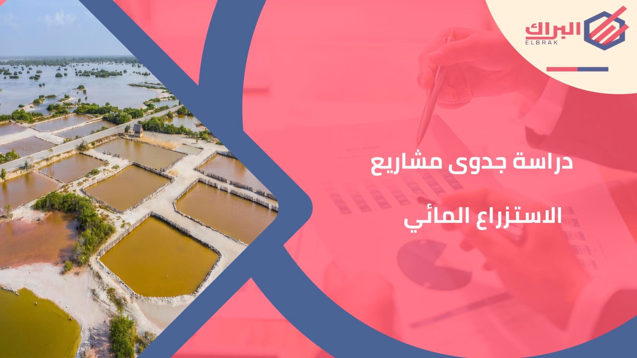 دراسة جدوى مشاريع الاستزراع المائي