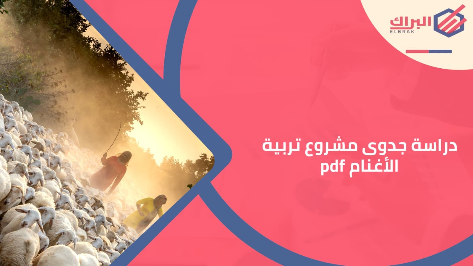 دراسة جدوى مشروع تربية الأغنام pdf
