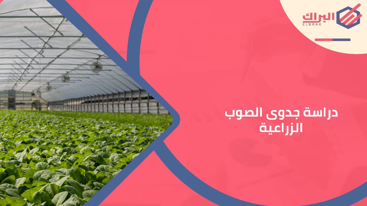 دراسة جدوى الصوب الزراعية