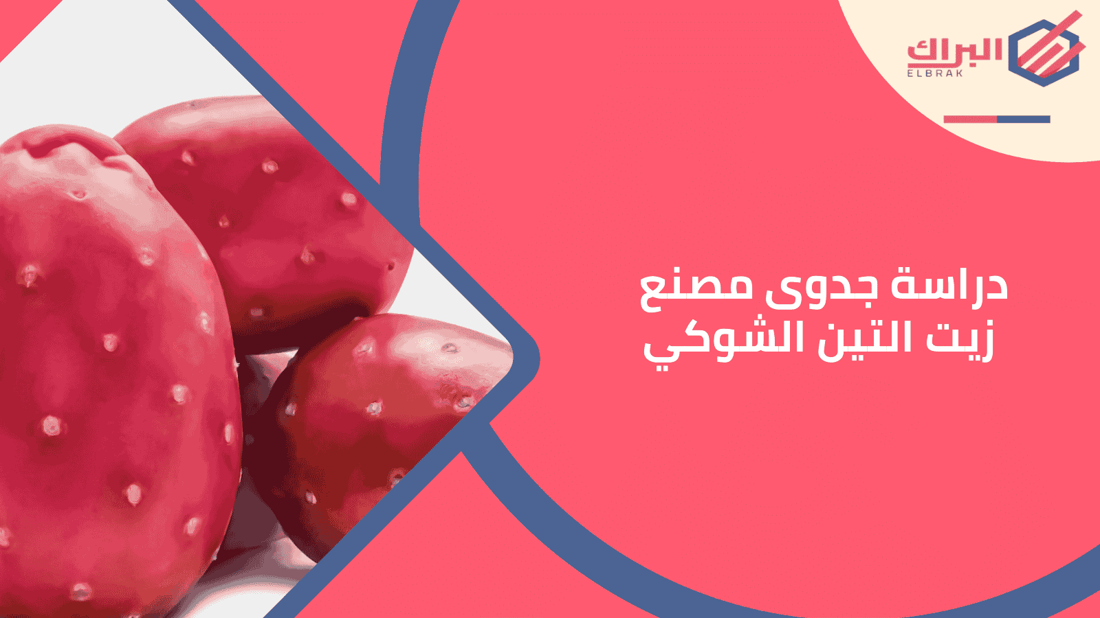 دراسة جدوى مصنع زيت التين الشوكي